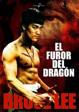 El Furor Del Dragón poster